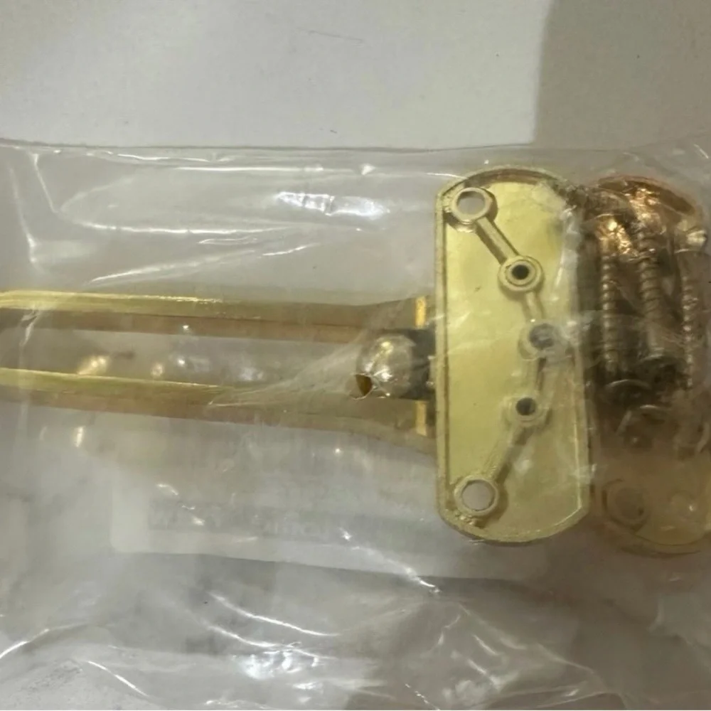 Source Unknown Gold Door Security Latch